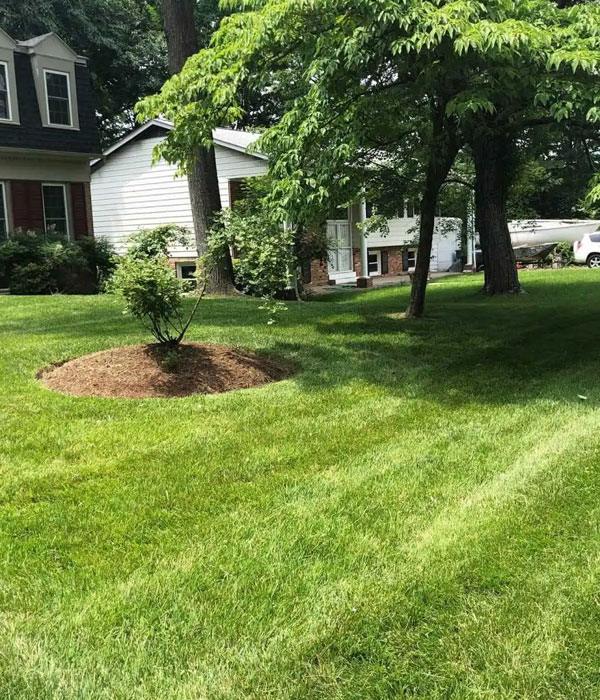 smart irrigation for residential lawns